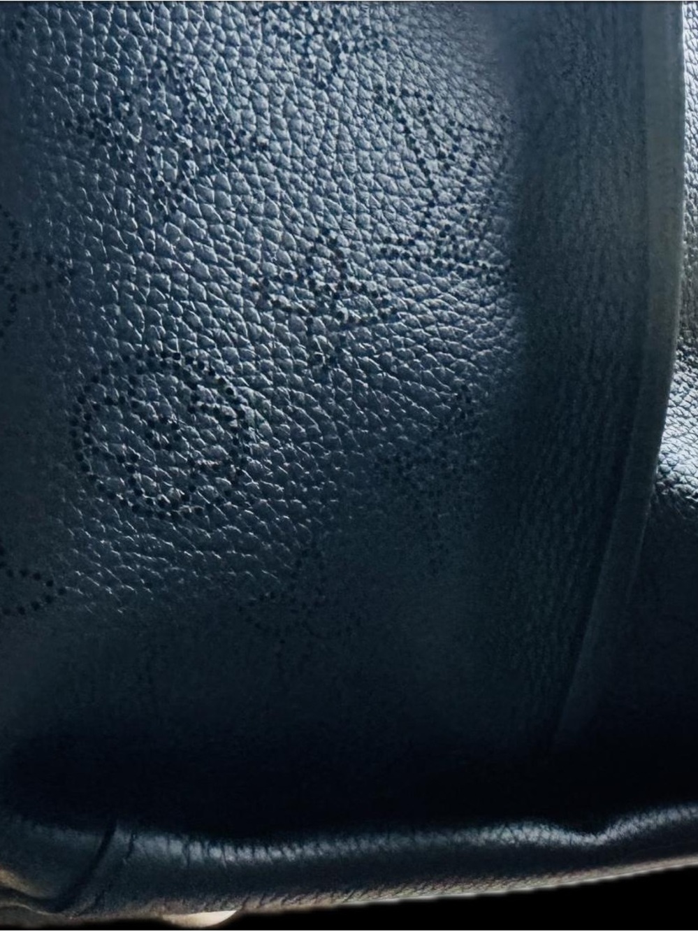 Louis Vuitton Black Monogram Embossed Braided-Handle Hobo Bag - Picture 3 of 7